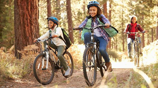 Mountain biking in Forest of Dean - family trail